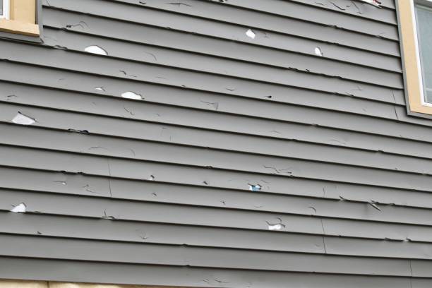 San Marcos, CA Siding Installation & Repair Company