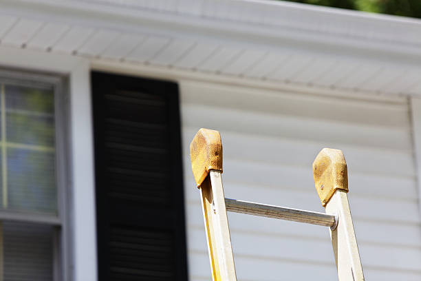 Best Historical Building Siding Restoration  in San Marcos, CA